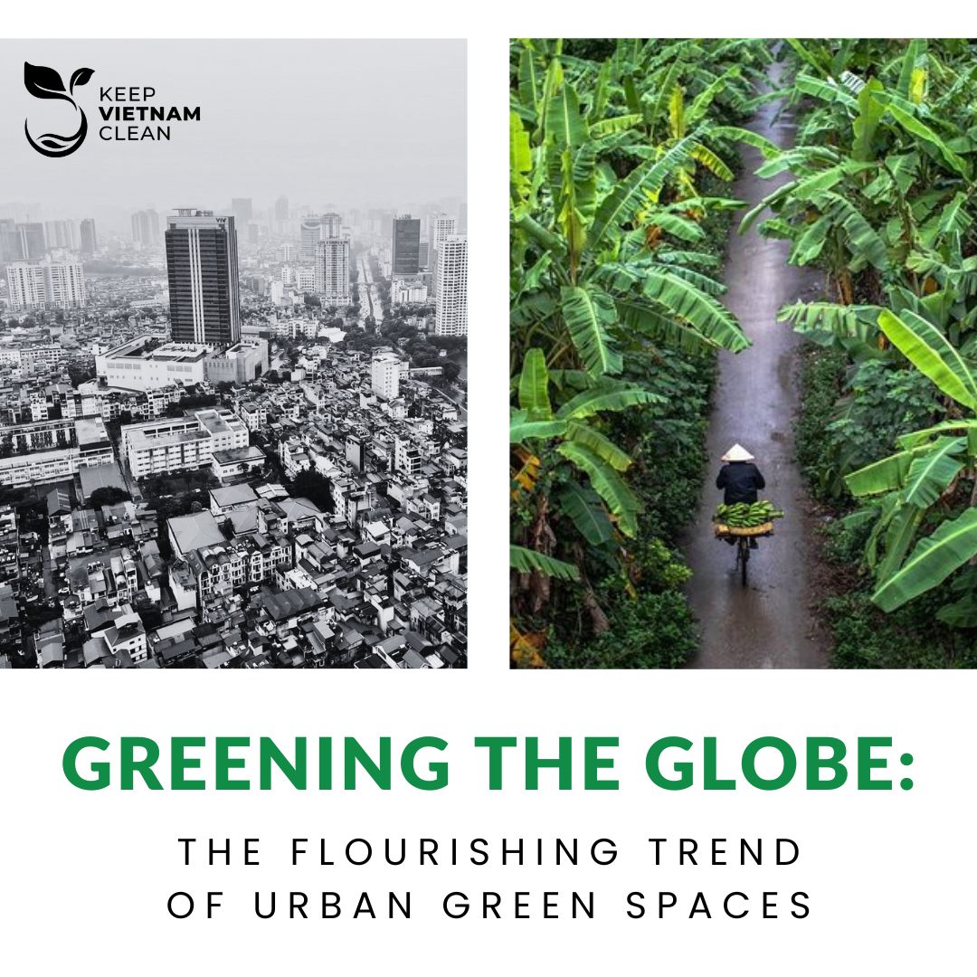 Greening the Globe: The Flourishing Trend of Urban Green Spaces