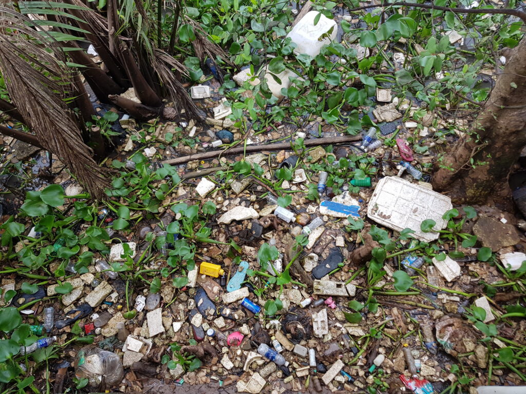 Plastic pollution in the Mekong River and Tonle Sap